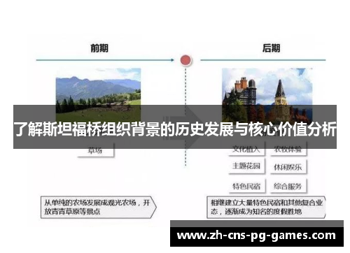 了解斯坦福桥组织背景的历史发展与核心价值分析