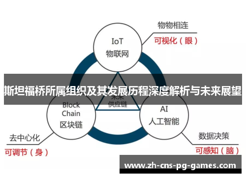 斯坦福桥所属组织及其发展历程深度解析与未来展望