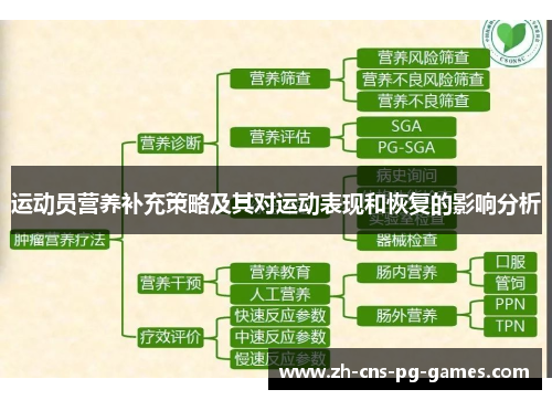 运动员营养补充策略及其对运动表现和恢复的影响分析